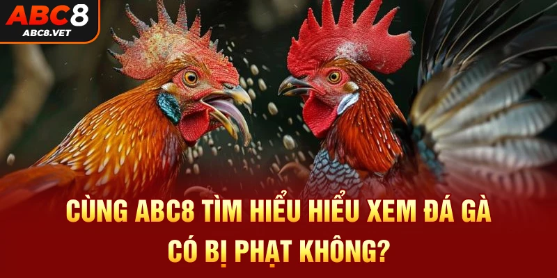 Cùng ABC8 tìm hiểu hiểu xem đá gà có bị phạt không?