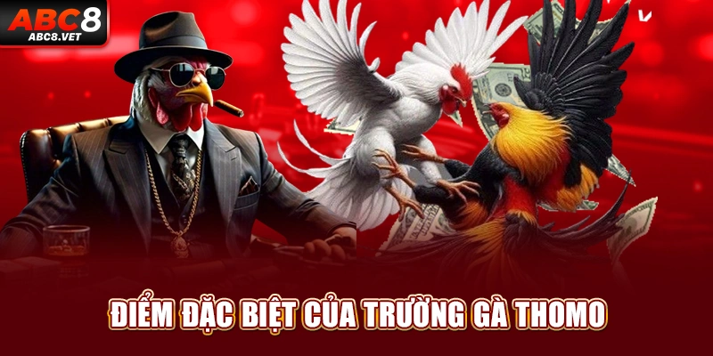Điểm đặc biệt của trường gà Thomo