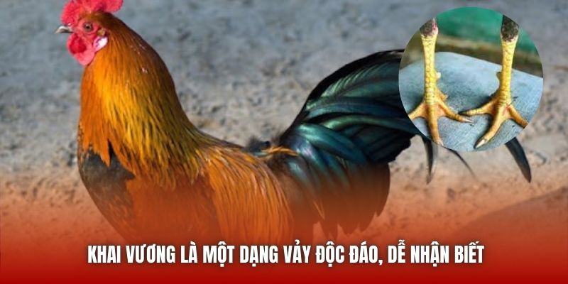 Khai Vương là một dạng vảy độc đáo, dễ nhận biết